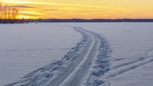 ski2 (1)